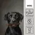 language entoVITAL DOG Dental Sticks pour chiens