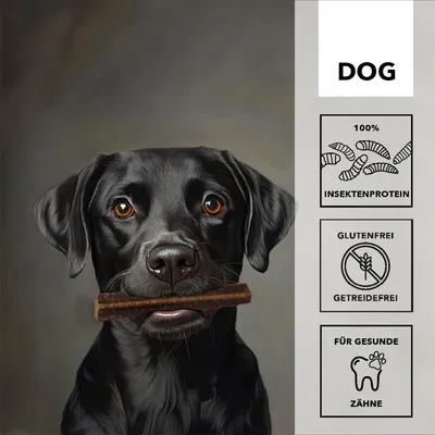 language entoVITAL DOG Dental Sticks pour chiens