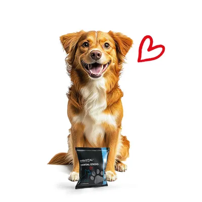 language entoVITAL DOG Dental Sticks pour chiens