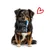 language entoVITAL DOG Dental Sticks pour chiens