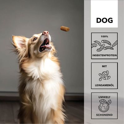  entoVITAL DOG Soft Snacks pour chiens