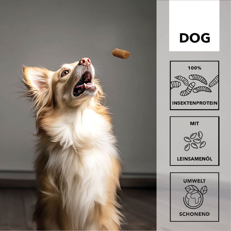 entoVITAL DOG Soft Snacks pour chiens
