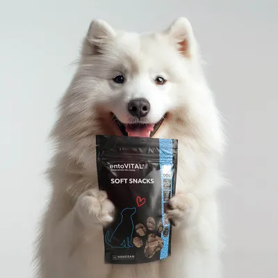  entoVITAL DOG Soft Snacks pour chiens