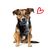 entoVITAL DOG Soft Snacks pour chiens
