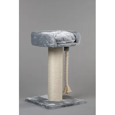 RHR Quality Arbre à chat Chartreux