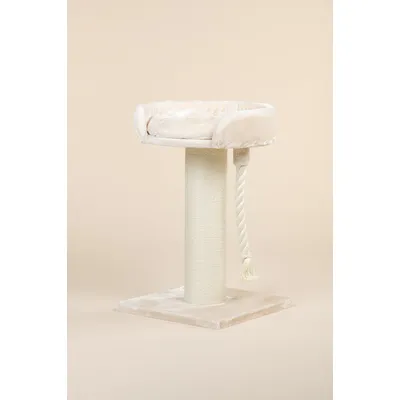 RHR Quality Arbre à chat Chartreux