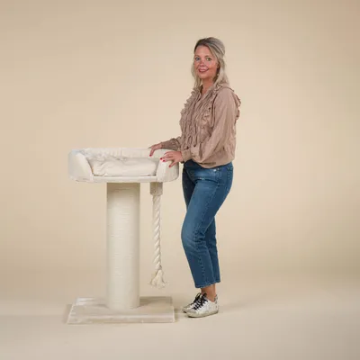 RHR Quality Arbre à chat Chartreux