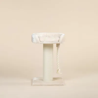 RHR Quality Arbre à chat Chartreux