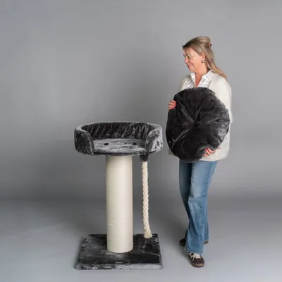 RHR Quality Arbre à chat Chartreux