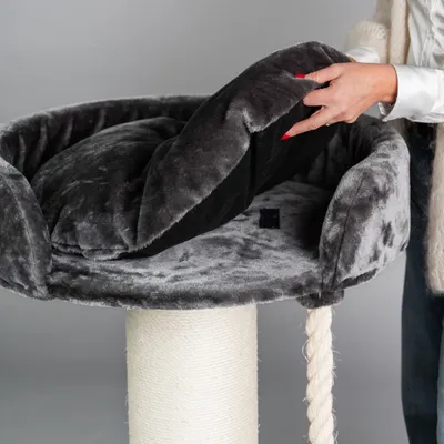 RHR Quality Arbre à chat Chartreux