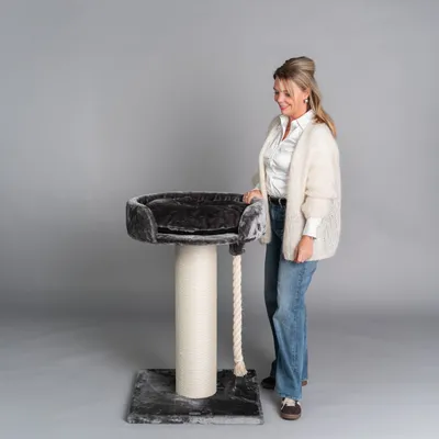 RHR Quality Arbre à chat Chartreux