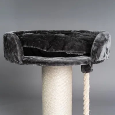 RHR Quality Arbre à chat Chartreux