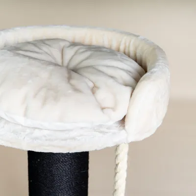 RHR Quality Arbre à chat Chartreux