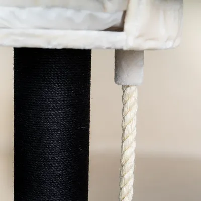 RHR Quality Arbre à chat Chartreux