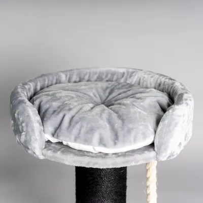 RHR Quality Arbre à chat Chartreux