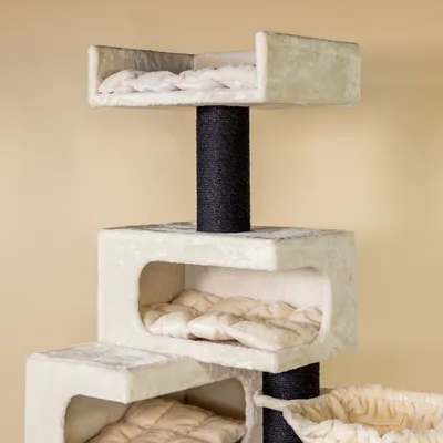 RHR Quality Arbre à chat Birman Citadel