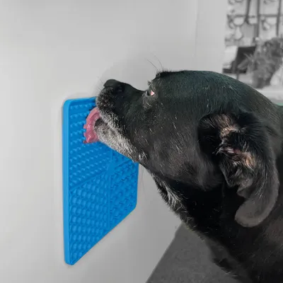 entoVITAL Tapis à lécher pour chiens et chats