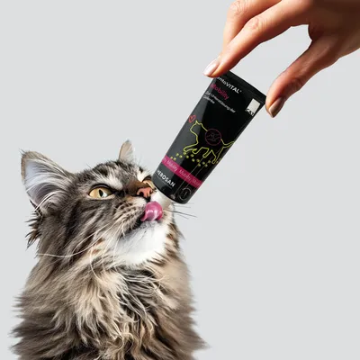 entoVITAL CAT pâte à lécher mobility pour chats