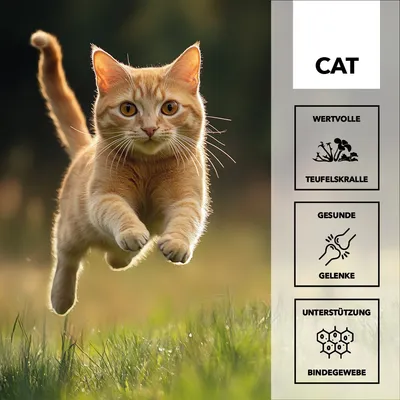entoVITAL CAT pâte à lécher mobility pour chats entoVITAL CAT pâte à lécher mobility pour chats