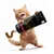 entoVITAL CAT pâte à lécher mobility pour chats entoVITAL CAT pâte à lécher mobility pour chats