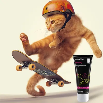 entoVITAL CAT mobility