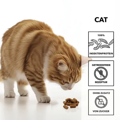 entoVITAL CAT Soft Snacks
