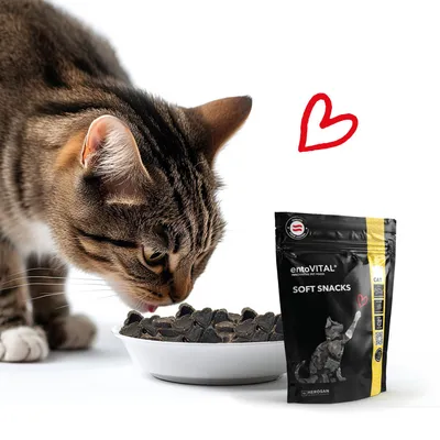 entoVITAL CAT Soft Snacks entoVITAL CAT Soft Snacks