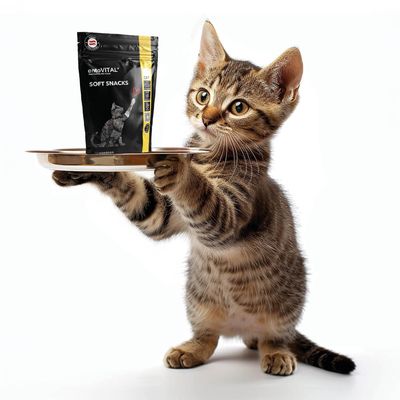 entoVITAL CAT Soft Snacks