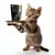 entoVITAL CAT Soft Snacks