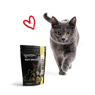 entoVITAL CAT Soft Snacks