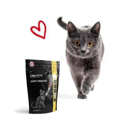 entoVITAL CAT Soft Snacks entoVITAL CAT Soft Snacks