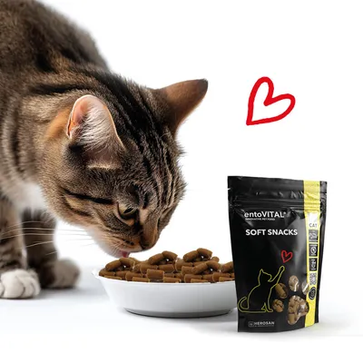 entoVITAL CAT Soft Snacks