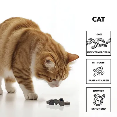 entoVITAL CAT Soft Snacks entoVITAL CAT Soft Snacks