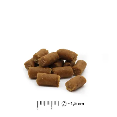 entoVITAL CAT Soft Snacks