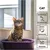 entoVITAL CAT uro care