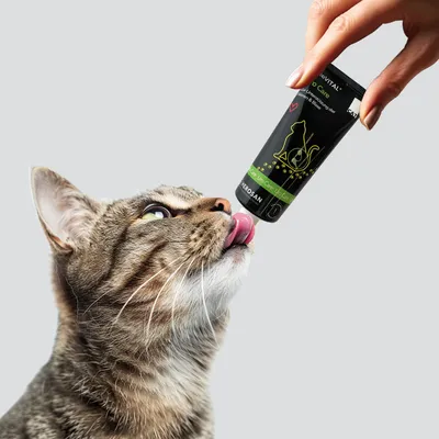 entoVITAL CAT pâte à lécher uro care pour chats