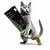 entoVITAL CAT pâte à lécher uro care pour chats
