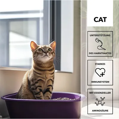 entoVITAL CAT pâte à lécher uro care pour chats