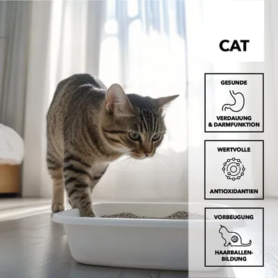 entoVITAL CAT gastro intestinal entoVITAL CAT gastro intestinal