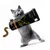 entoVITAL CAT gastro intestinal entoVITAL CAT gastro intestinal