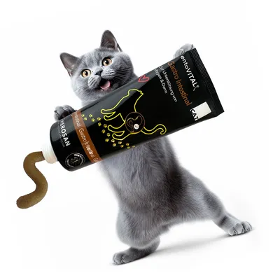 entoVITAL CAT gastro intestinal entoVITAL CAT gastro intestinal