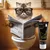 entoVITAL CAT gastro intestinal entoVITAL CAT gastro intestinal