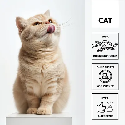 entoVITAL CAT pâte à lécher hypoallergénique pour chats