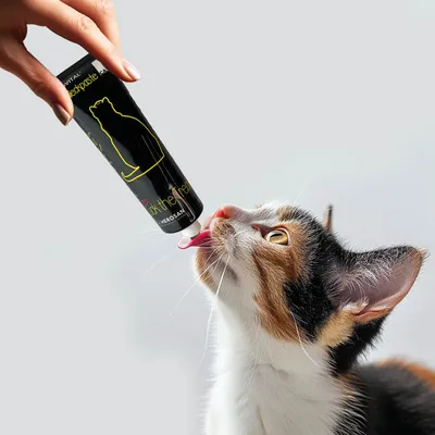 entoVITAL CAT pâte à lécher hypoallergénique pour chats