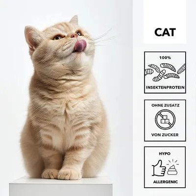 entoVITAL CAT pâte à lécher hypoallergénique pour chats