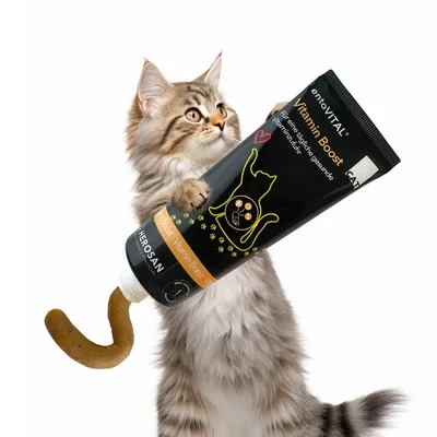 entoVITAL CAT vitamin boost pâte pour chats