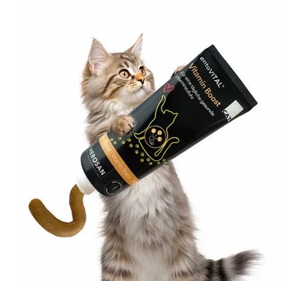 entoVITAL CAT vitamin boost pâte pour chats entoVITAL CAT vitamin boost pâte pour chats