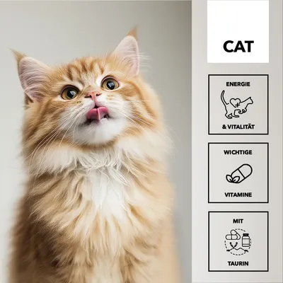 entoVITAL CAT vitamin boost pâte pour chats entoVITAL CAT vitamin boost pâte pour chats