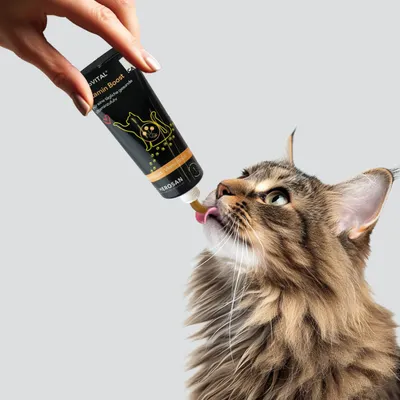 entoVITAL CAT vitamin boost pâte pour chats