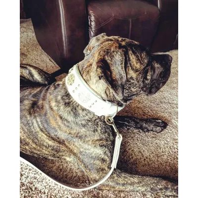 Maximus weiße Lederleine